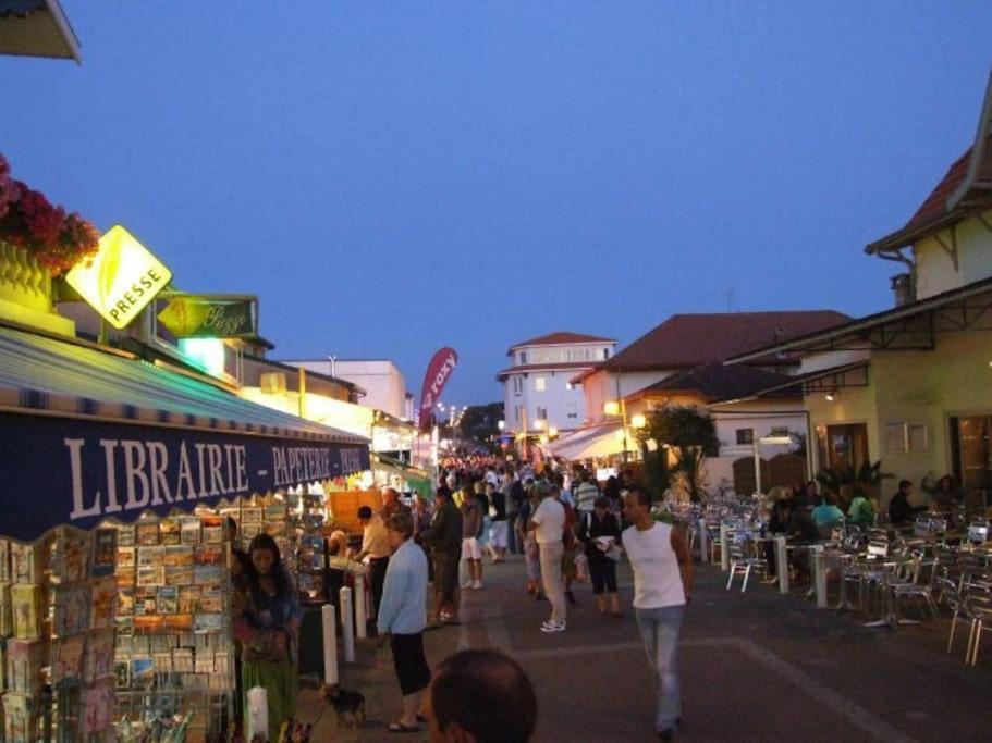 La Cabane Maddyblue 5 Min A Pieds De L'Ocean Et Commerce Мімізан Екстер'єр фото